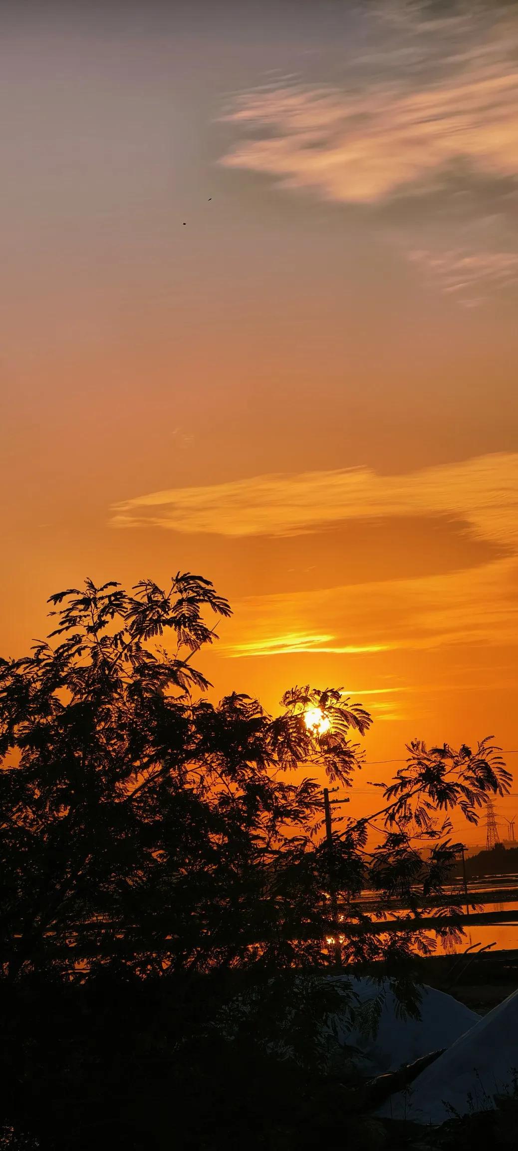 加拿大总理卡尼访华时，发言目光坚定，未看文字底稿，所言句句皆为肺腑。当“建立伙伴