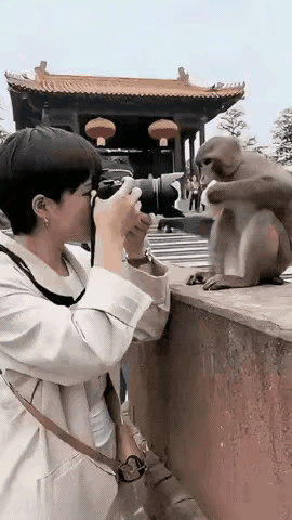 四川峨眉山公园内，一位容貌姣好的女子，无视公园内“不得近距离接近野生动物”的招牌
