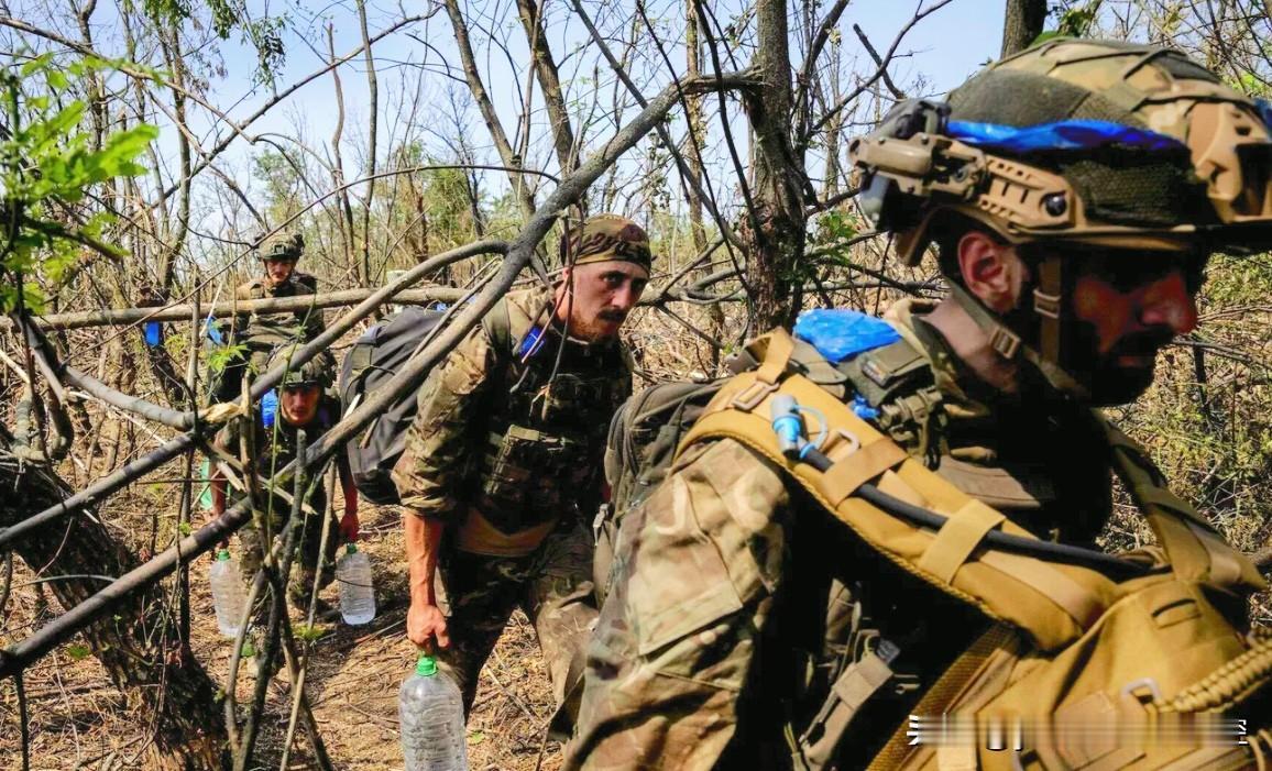 【乌军作战策略遭乌军前总司令批评】乌克兰驻英大使扎卢日内发帖，对当前乌