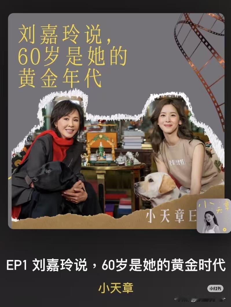 田朴珺今晚怕是要高兴的睡不着了因为没想到她的口碑突然变好了而这还要感谢章泽天