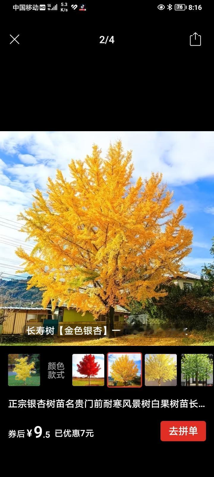 人这一生有什么东西永远属于別人经历、身体、灵魂、心态、记忆，一生拿不走。