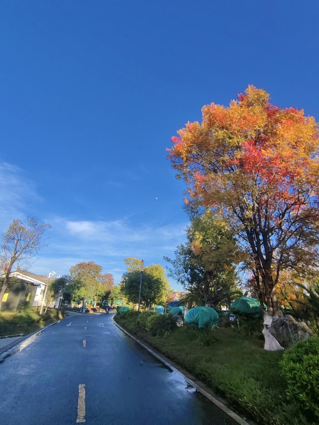 再次到楚雄第一次来楚雄是在2008年，我你老两口自驾去大理，由昆明出发途经楚雄