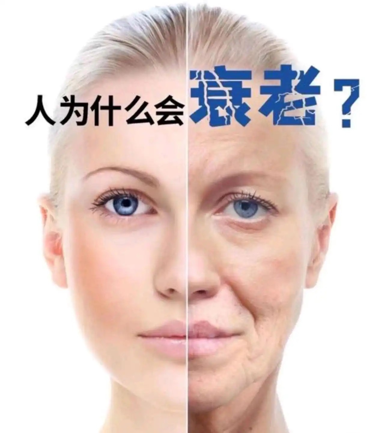 四大抗衰关键因素拆解：睡眠、饮食、运动、情绪抗衰从来不是单一护肤、补剂能解决的，