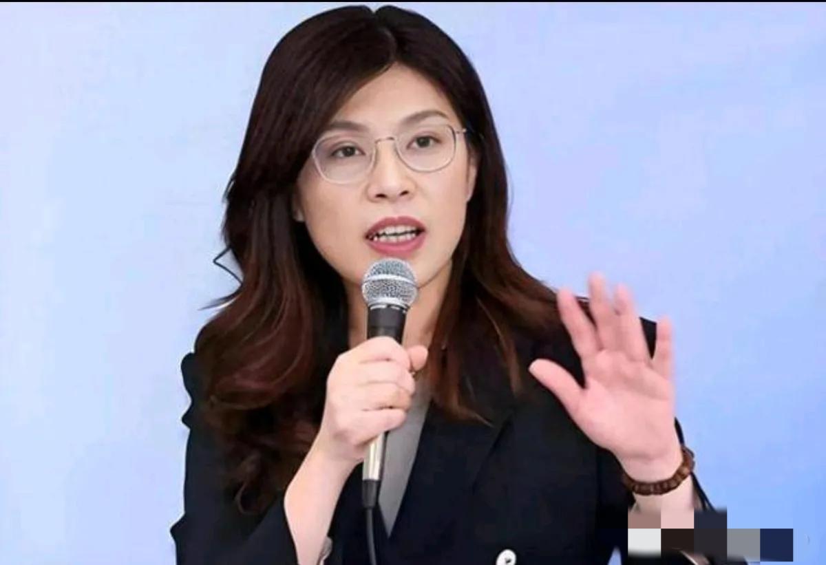 国民党党中央深夜刊文回击赵少康，赵少康跳的太高了！5月1日，根据岛内媒体报道，在