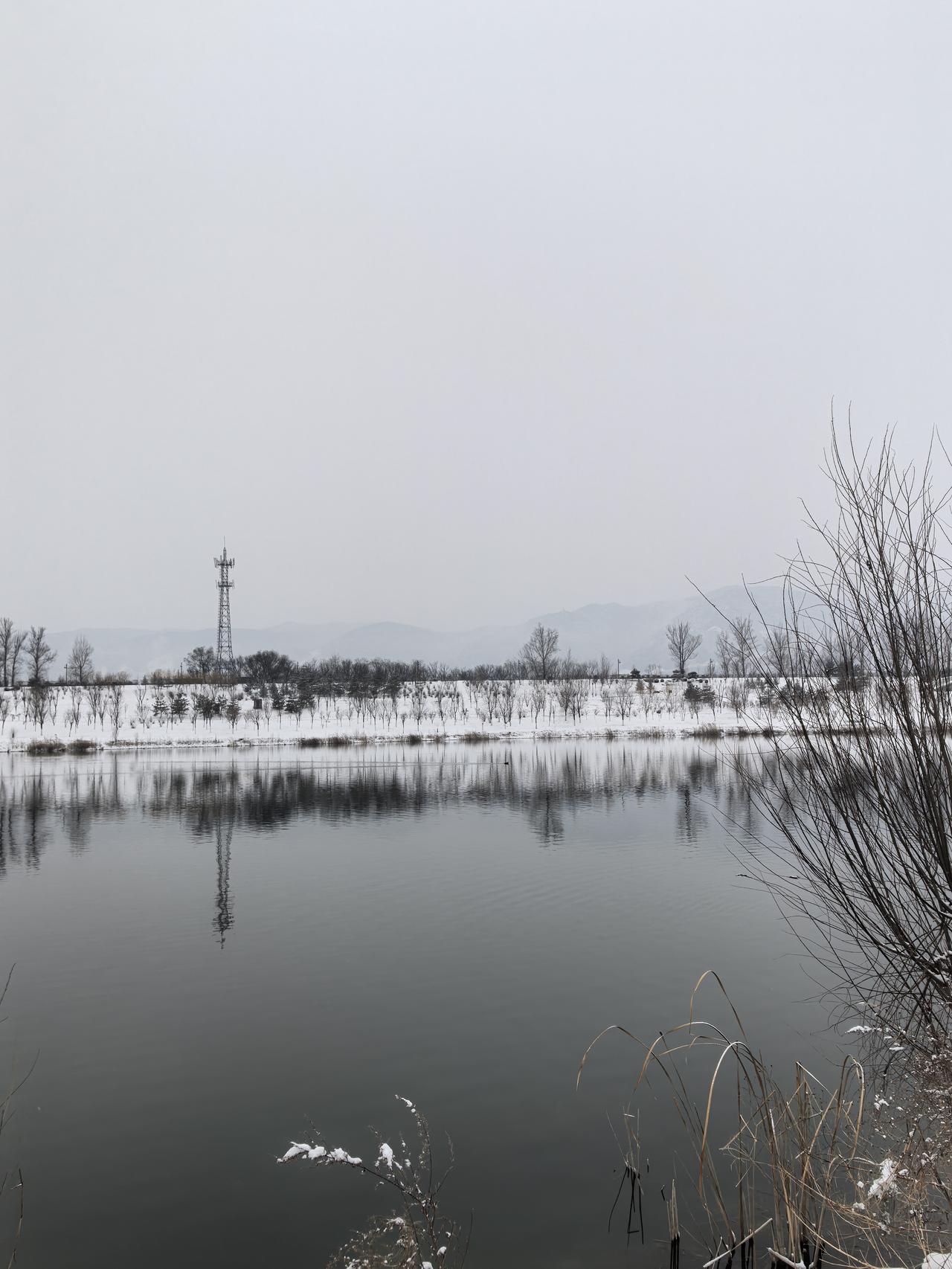 晒晒最近拍的风景