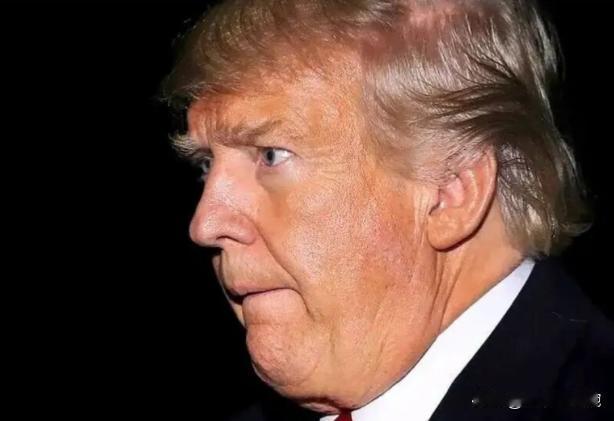 不要嘲笑欧洲只派了30多人进驻格陵兰岛，实际上这对于欧洲来说，已经尽力了，而且欧