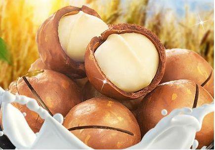 孕妇可以吃夏威夷果吗? 夏威夷果的功效和作用
