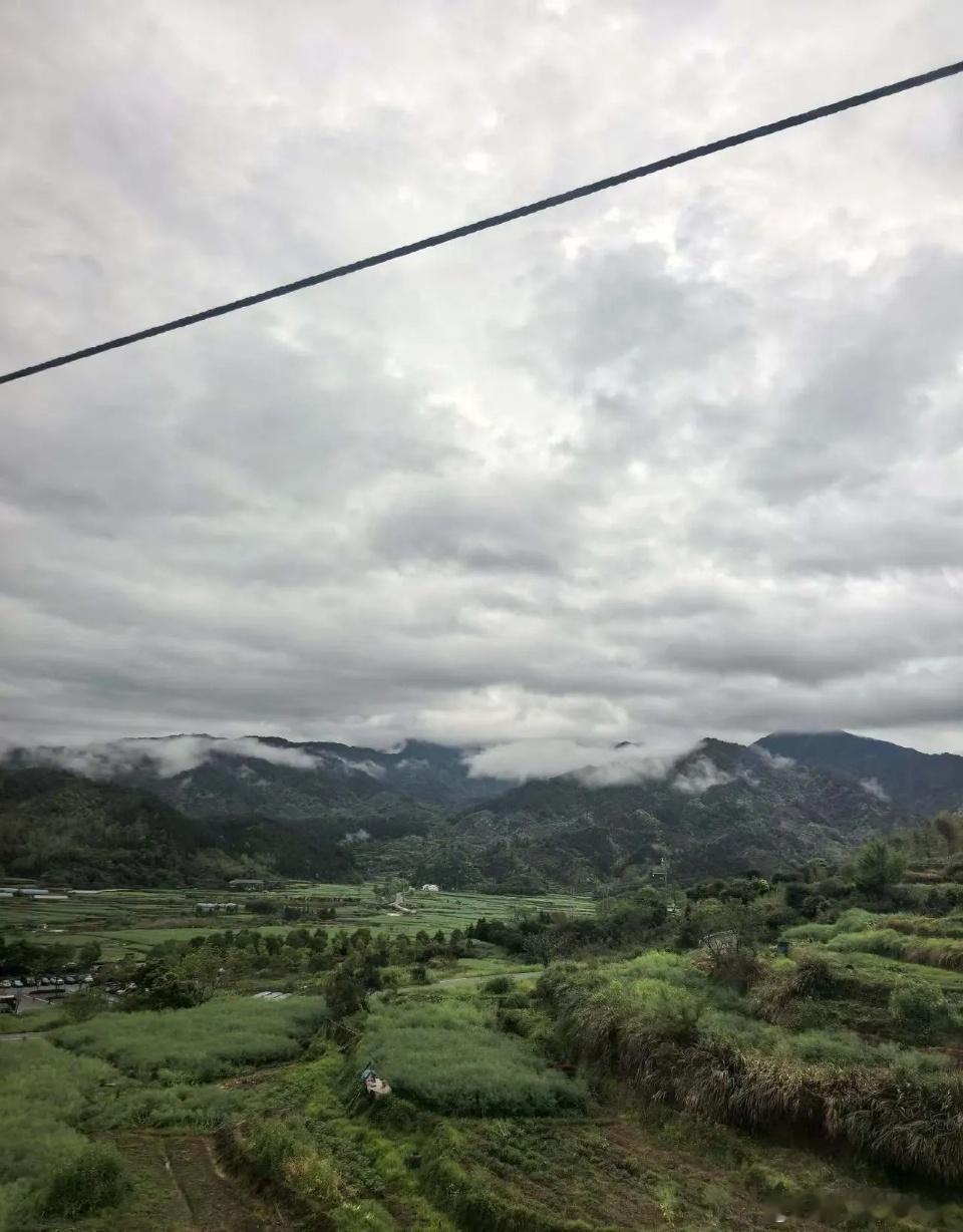 a股妖股又要来了，一季报结束，后面几个月就是题材炒作。妖股辈出！一般妖股出现的规