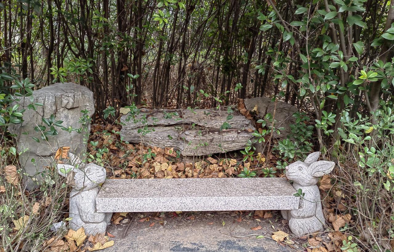 身边有两个老兵，一个自卫还击战时立过三等功，现在退休了；另一个服役三年，现在孙子