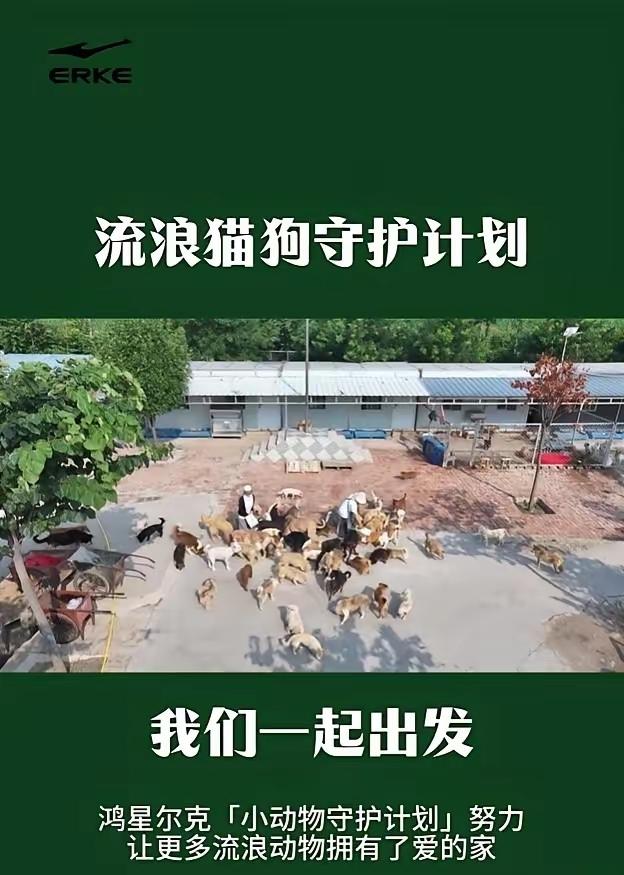 鸿星尔克的名声好不容易打出去了，大部分人也认可，结果吃饱了撑着突然冒出来一个流浪