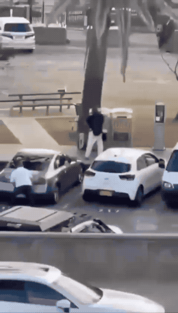 澳大利亚白左找到了救命草：现场夺枪的人也是中东裔移民！震惊世界的澳大利亚邦迪海滩