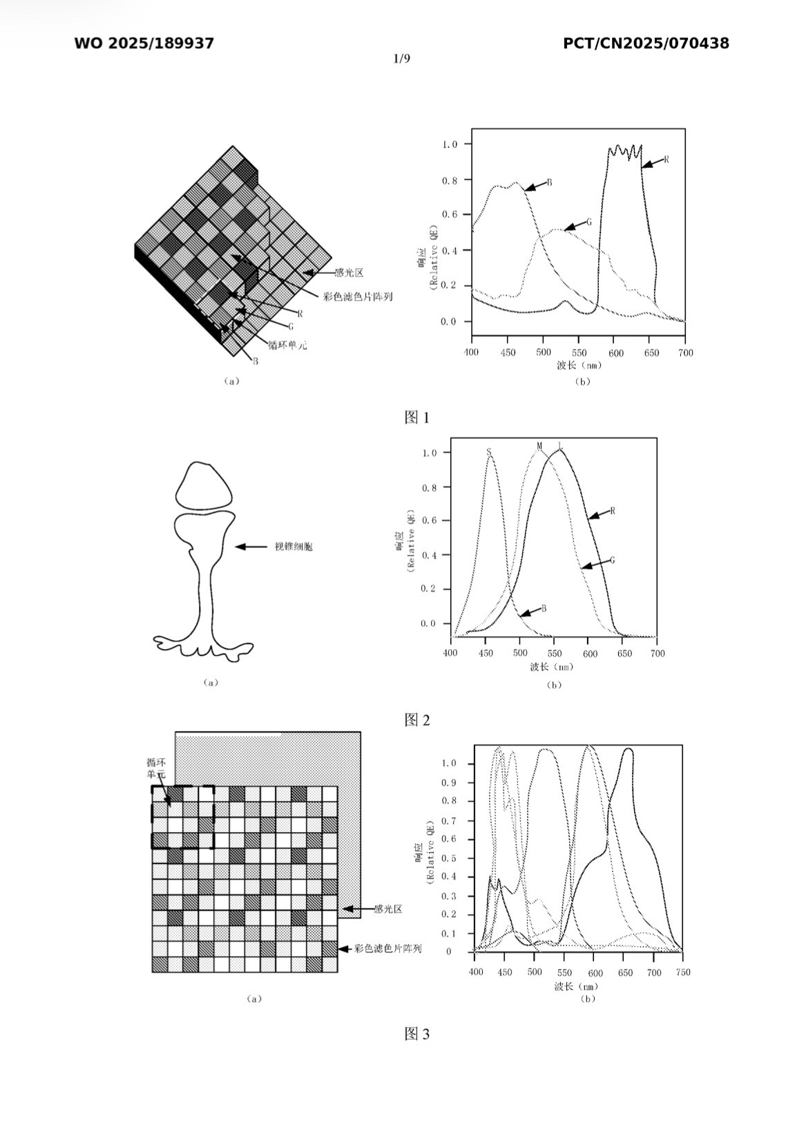 华为有一个25年1月申请的关于红枫的专利，刚公开没几个月。之前的红枫都是