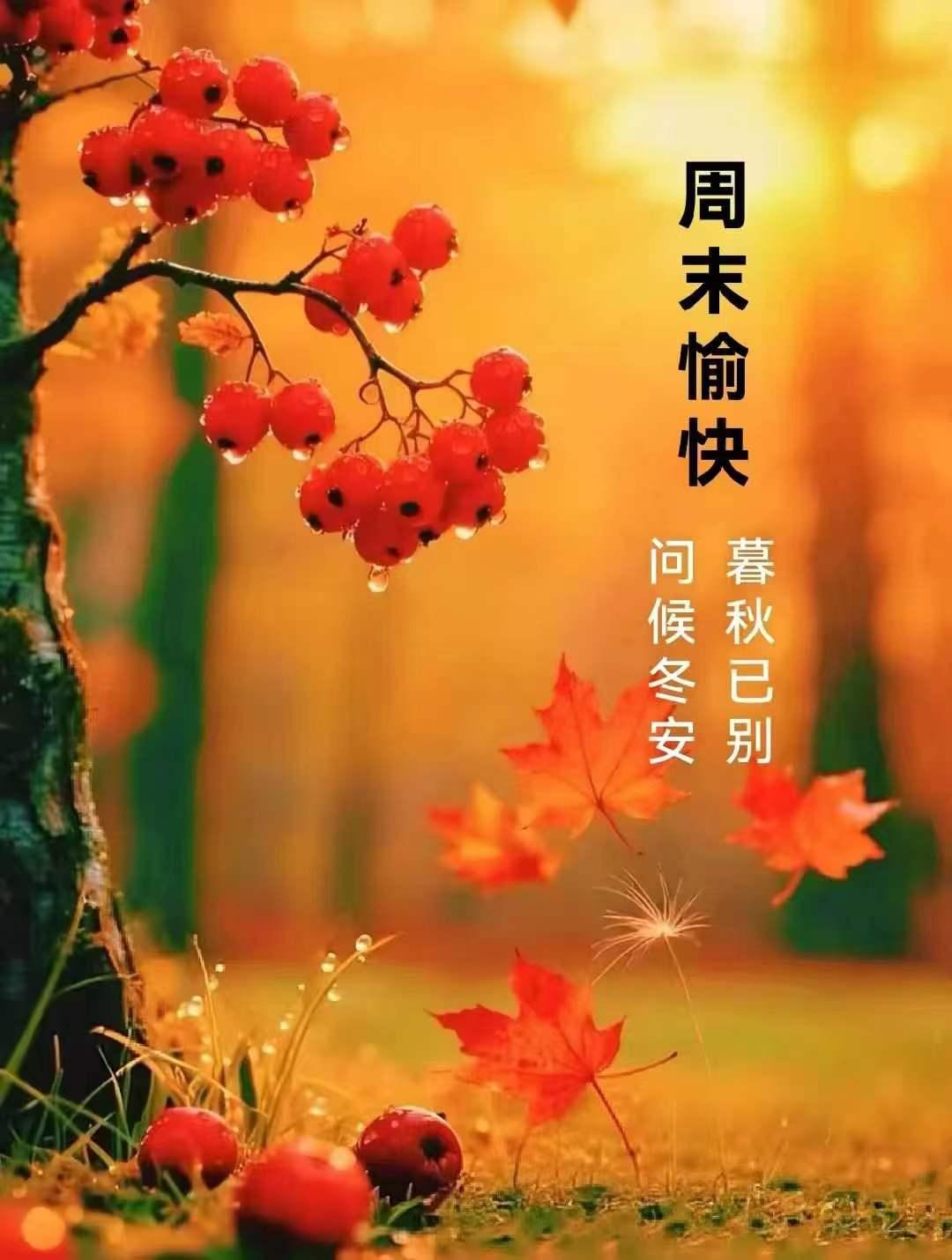 立红原创优秀精彩佳作，声频并茂分享美景令人赏心悦目、如痴如醉……热闹能在这漫步