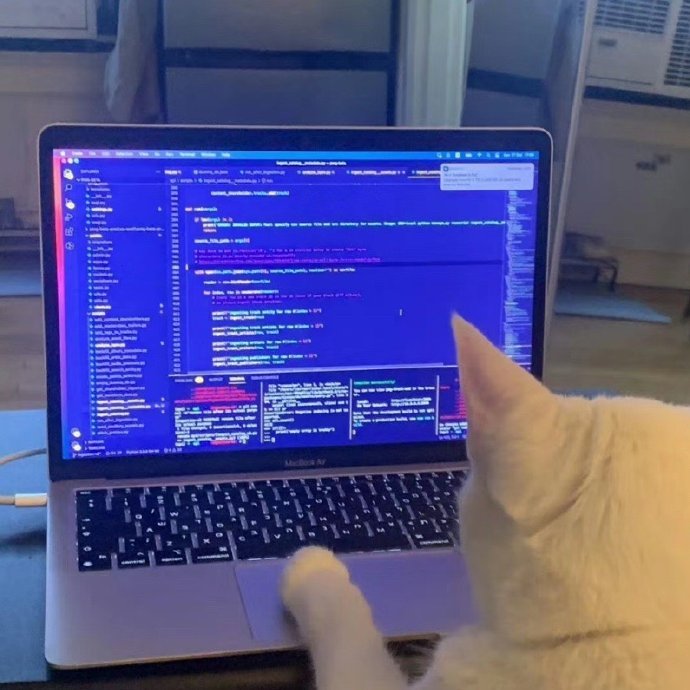 我上班就是这个样