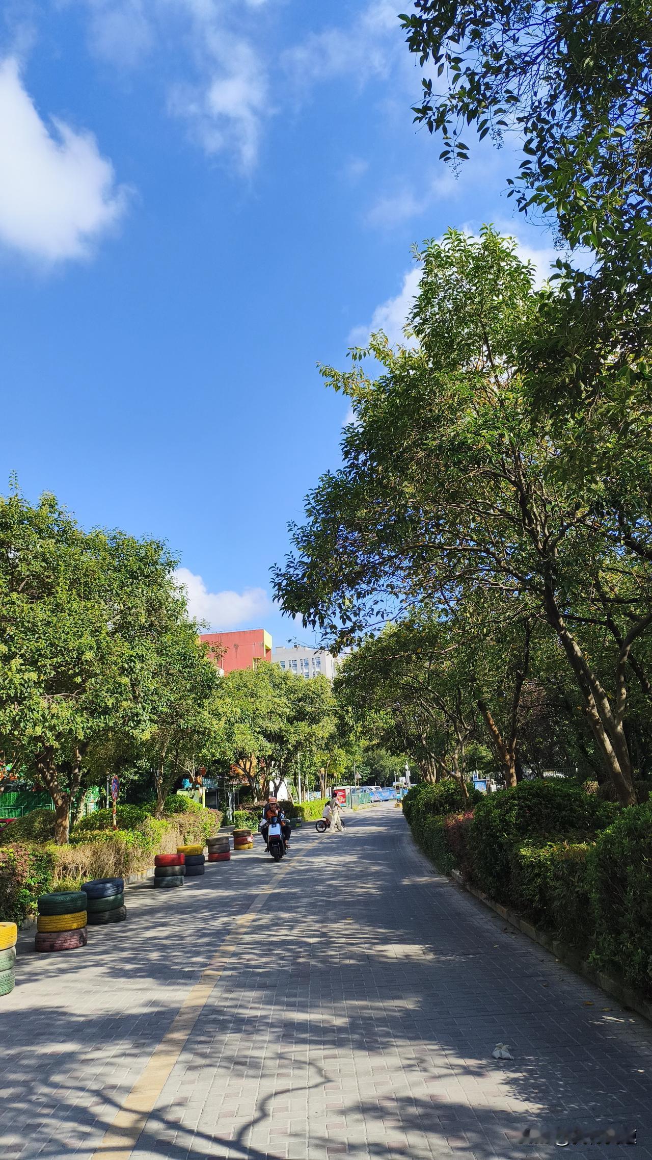 今天白露，按节气说本该是冷空气出来刷存在感的日子，北方不少地方已经自西向东迎来降