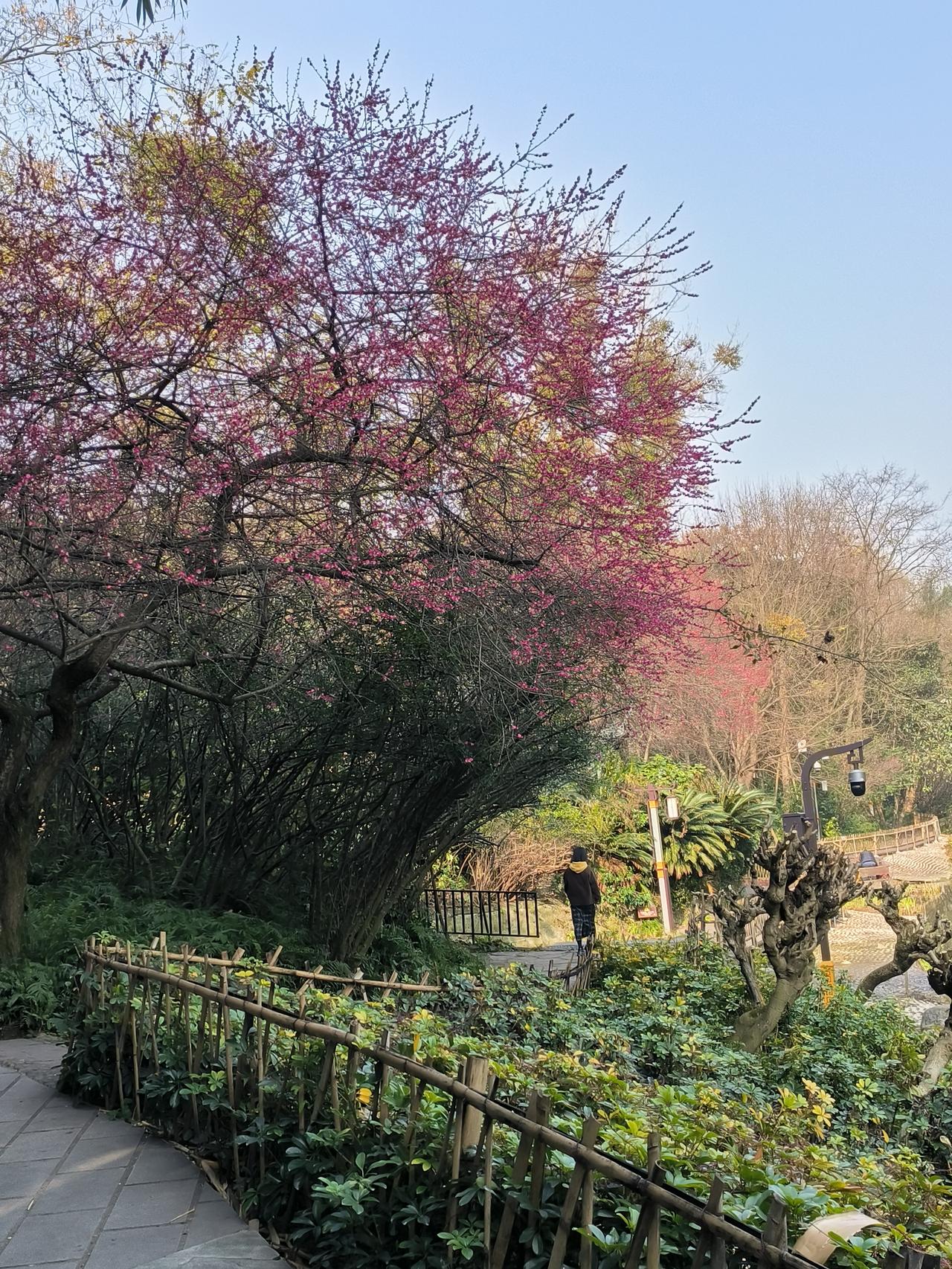 表妹该不该辞职？37岁仓库文员，要放弃五险一金工作，全职照顾骨折婆婆吗？我