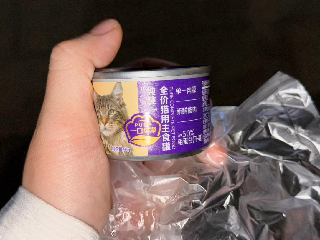 流浪猫救助小分队（团哥起的）今天遇到了一只狸白看模样也就五六个月大小比我遇到的给给那时候还小一点给找