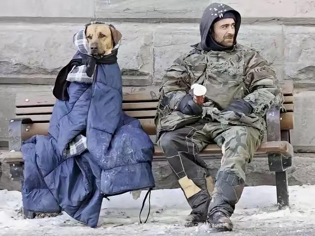 美国穷人同中国穷人的区别！世界各国穷人的区别！中国穷人的主要特征是：没钱，