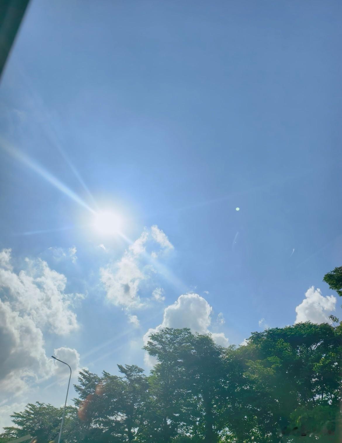 明天8月4号，中伏进入第11天，今年这天气是真不给人留活路——整整40天的超