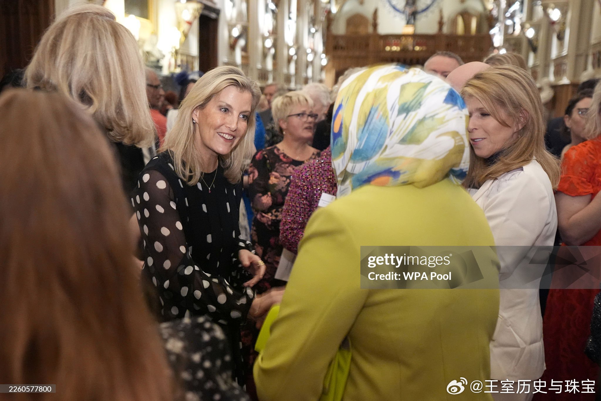 新闻2026.2.11英国王室成员出席在温莎城堡举行的全国护理人员招待会，以