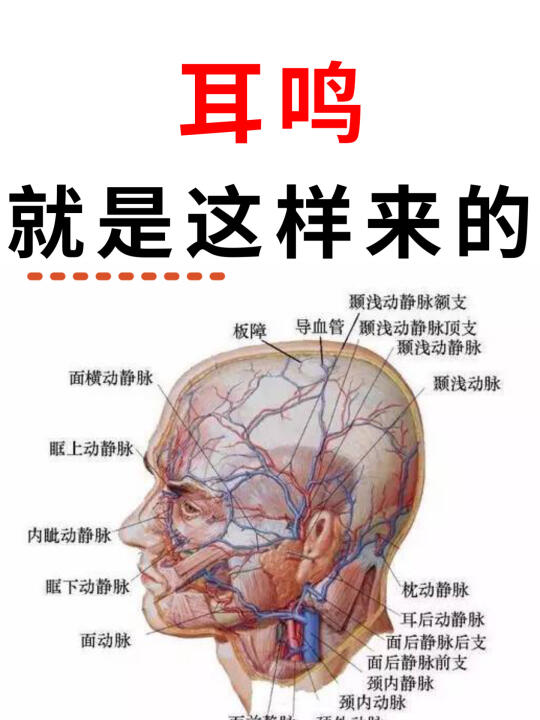 一个农村老中医告诉我：耳鸣，其实是“清窍失养”，此方或将失传。起初我以...