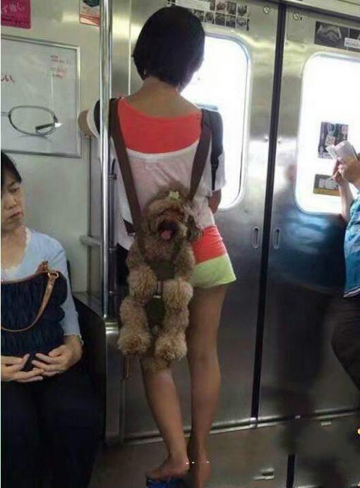 爆笑GIF: 你能别对我笑得那么甜嘛? 我心慌慌