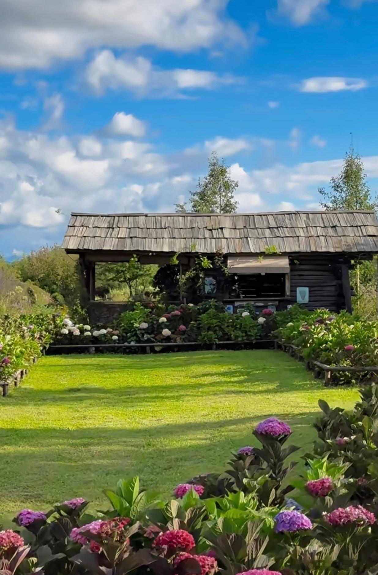 北宋宰相蔡京活到80岁，耳聪目明，发不白牙不落。晨起必饮“干姜沸水”——用滚开水