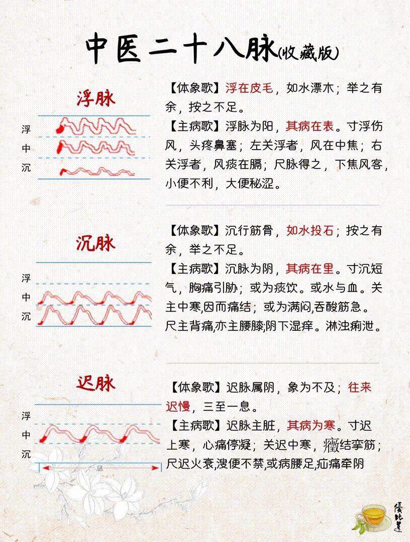 在中医面前藏不住一点事儿中医二十八脉。中医“望闻问切”里的切诊，常用的是寸口