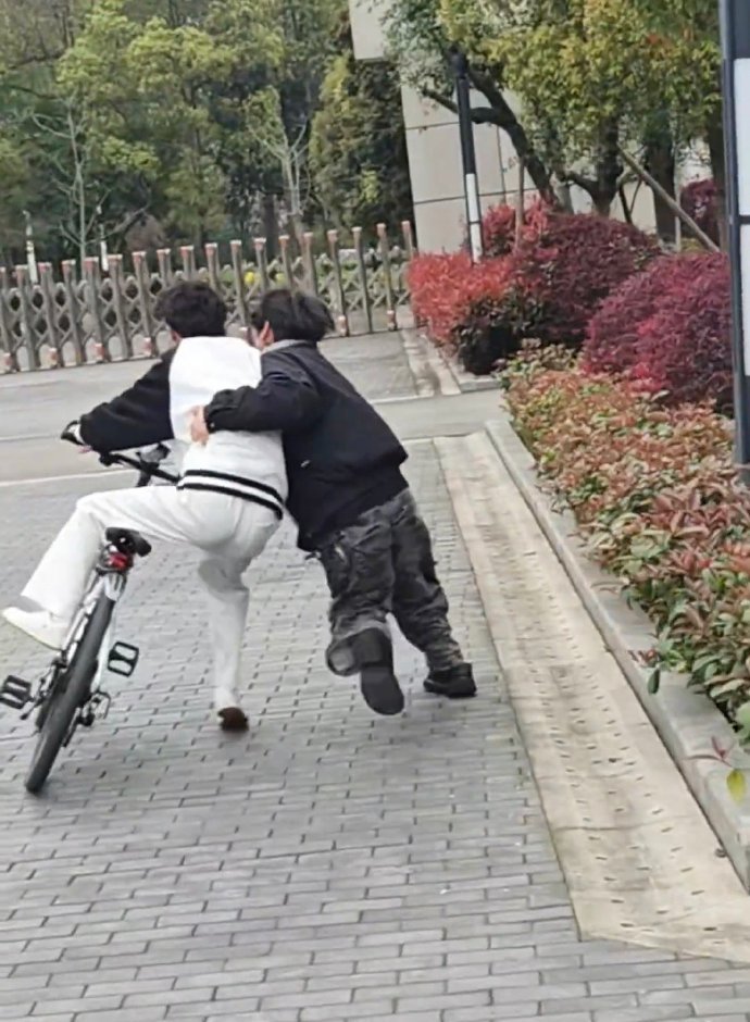 大学生驯服四肢计划