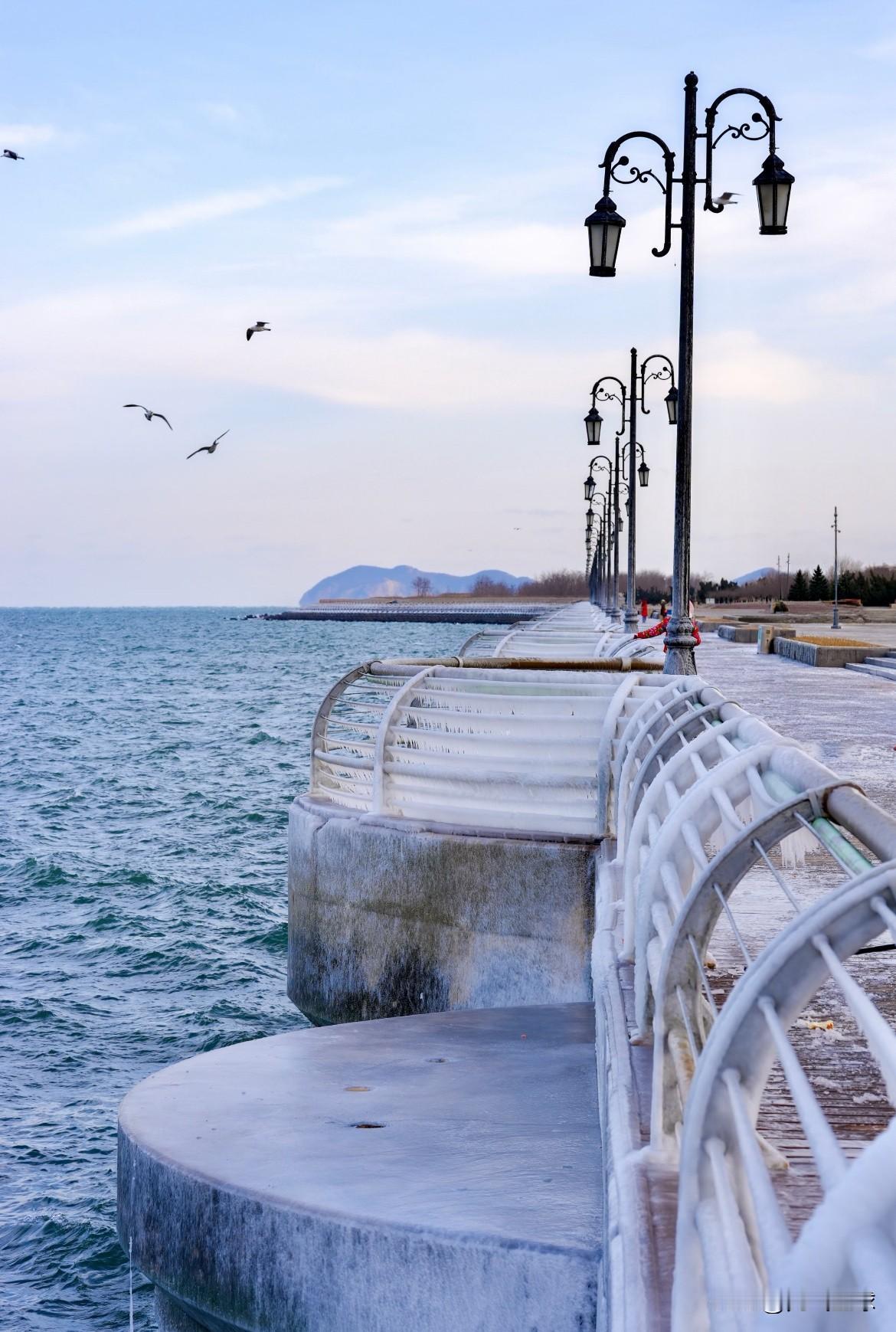 港东五街海边栈道，时间冻在了二月的海风里。大连的冬天从不解释自己。好看就是好看