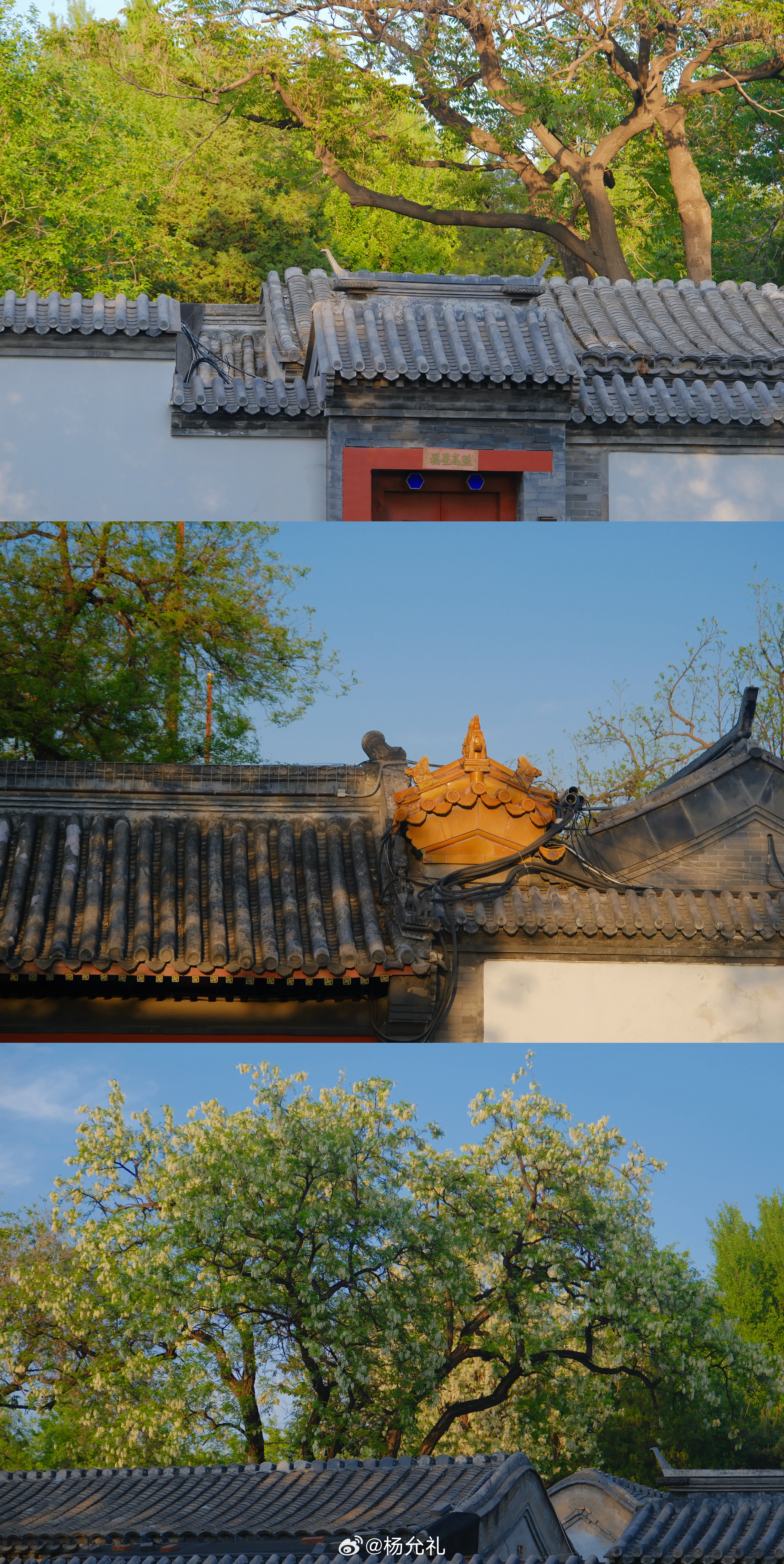 丨岁月不居，时节如流。✨转眼已有六年，未曾好好静下心，闲游赏景。从前对老北京的印
