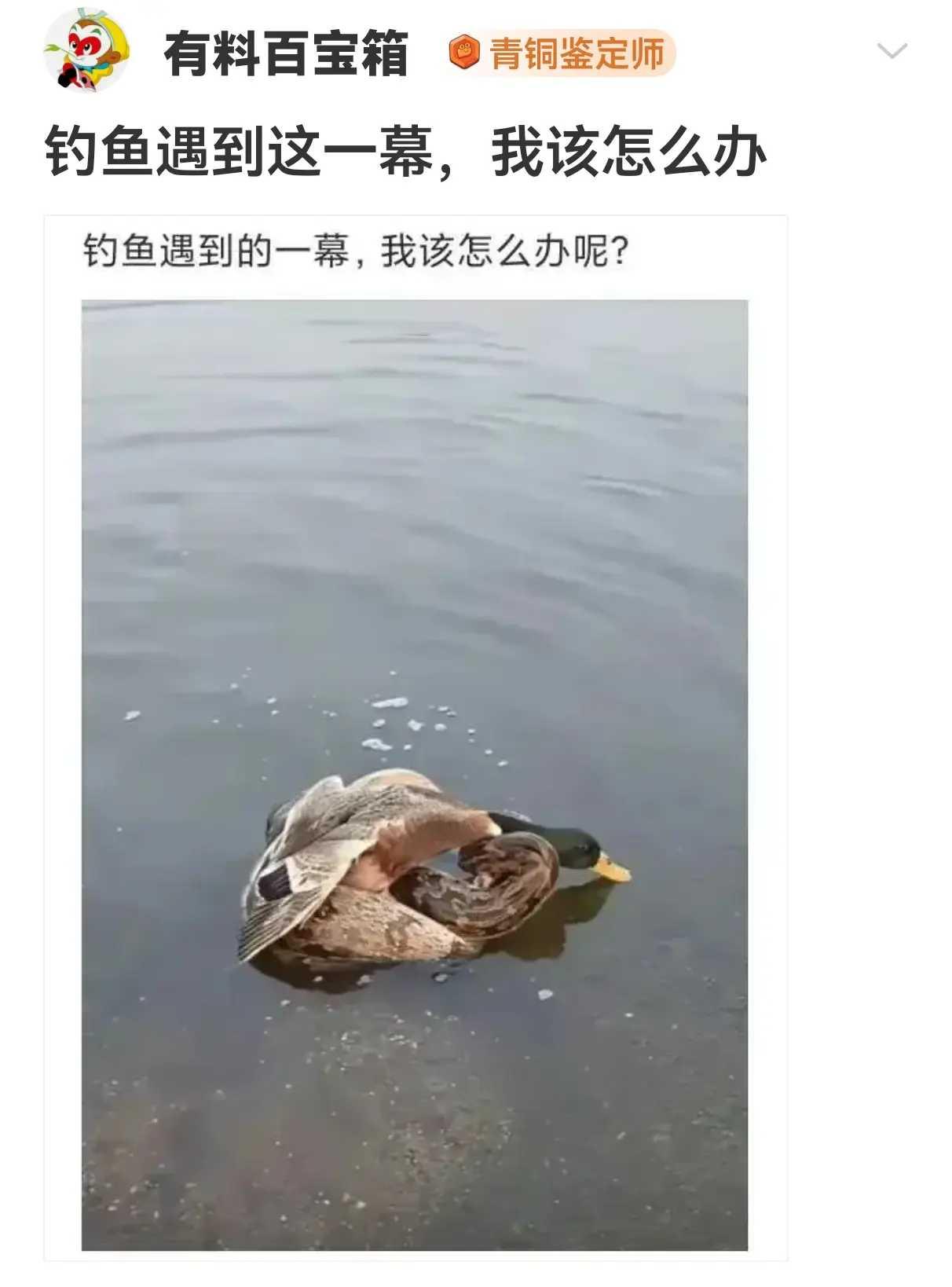 钓鱼遇到这一幕，我该怎么办