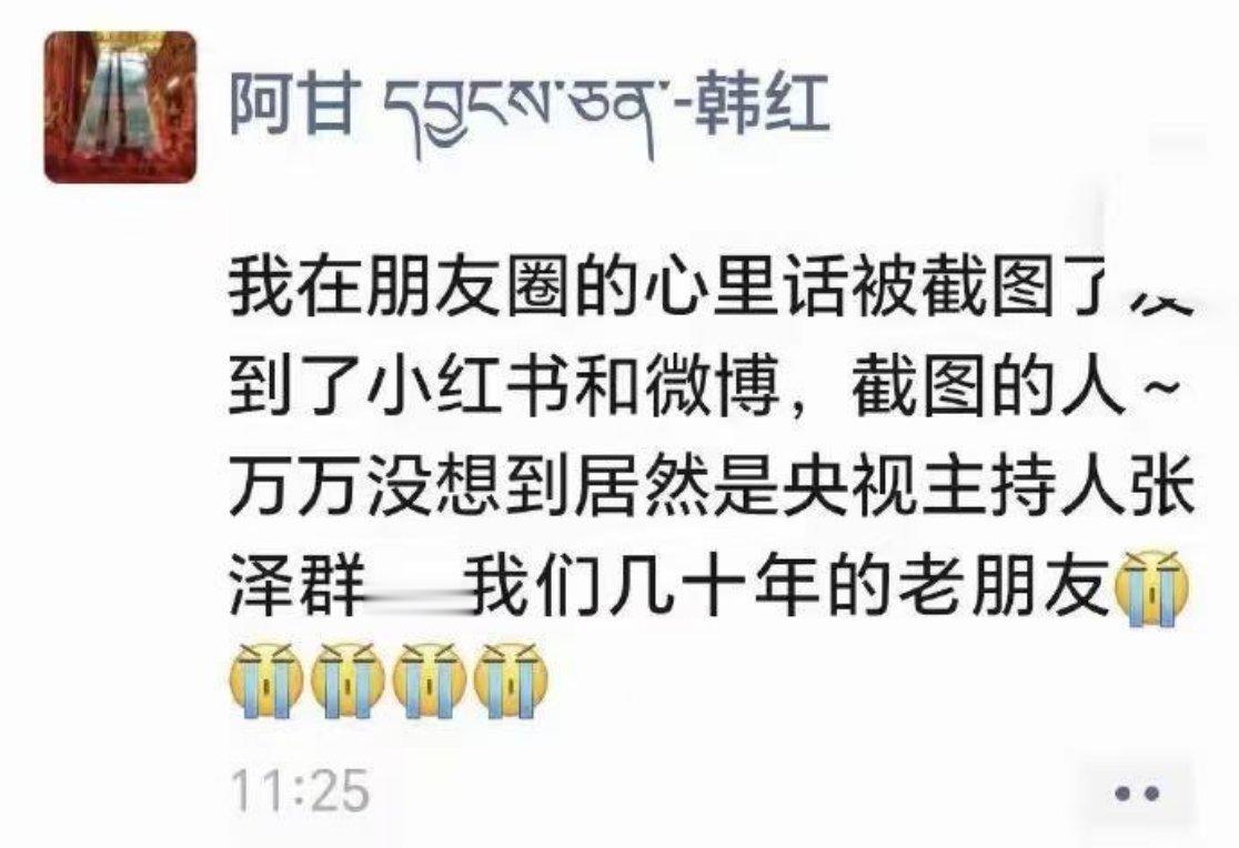 抓特务具象化了…