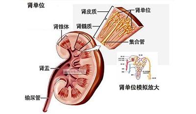 做人得走心但一定得“走”好肾