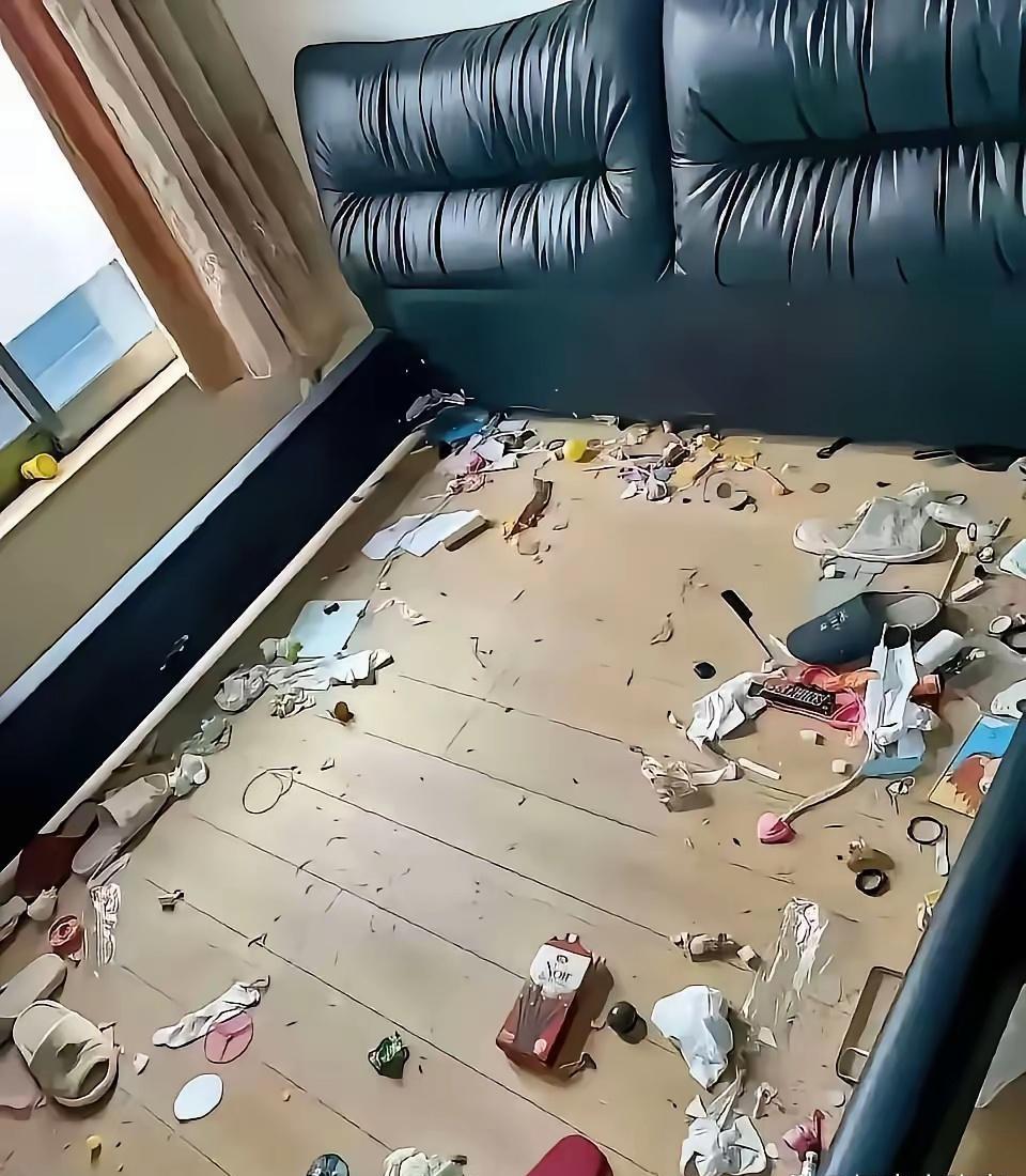 租客走后，这个垃圾我也是醉了！