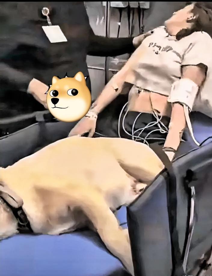 这事是真实发生过的类似情况，按原文意思用大白话说说：一人一狗先后进了医院，刚接诊