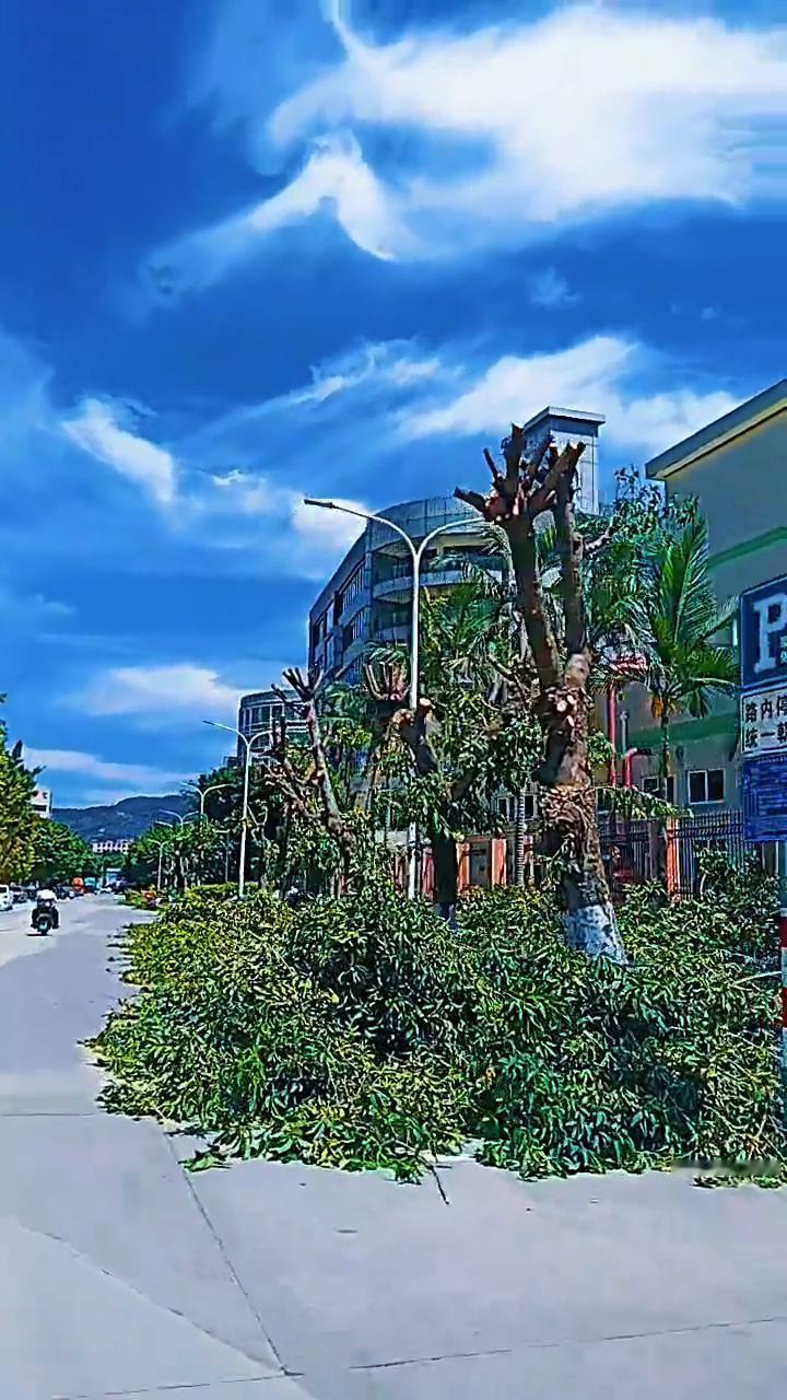 整个福建都在等台风，就像等男朋友一样，既怕他不来，又怕他乱来。