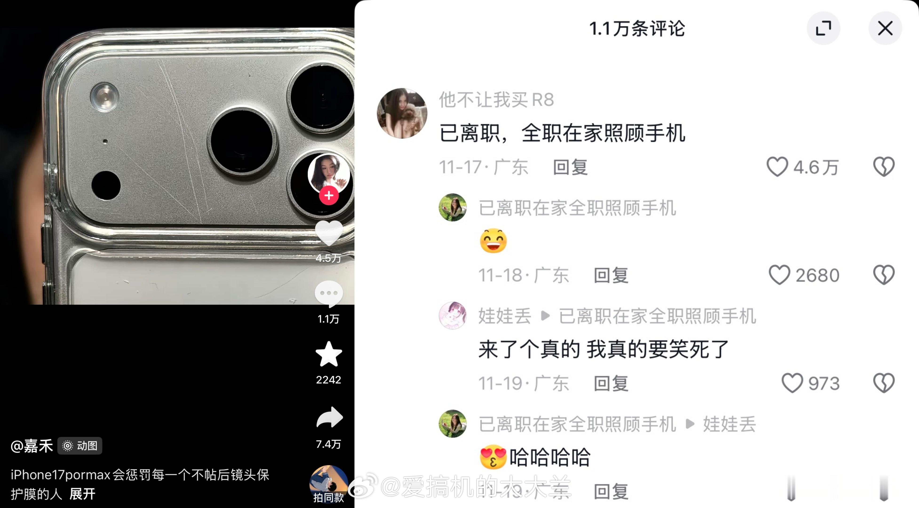 已离职，在家全职照顾手机