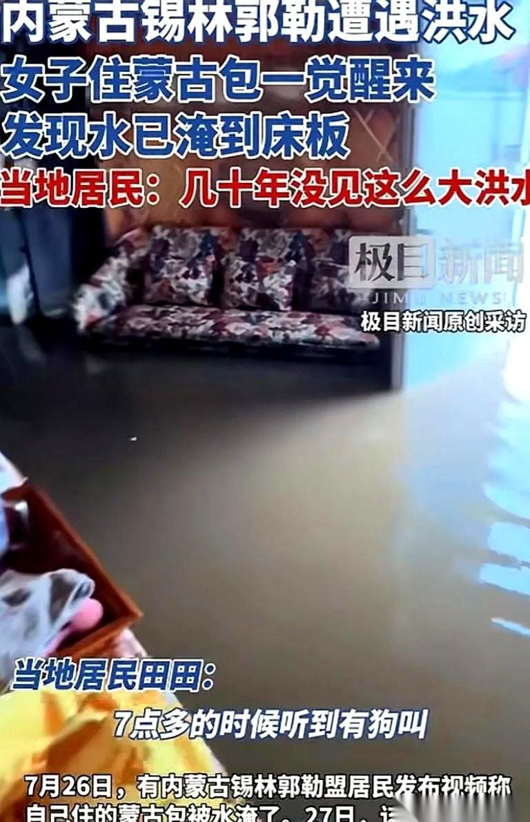 内蒙古的田田，凌晨七点多被自家狗吵醒，叫得跟疯了一样。她还以为是进了贼，嘴里骂