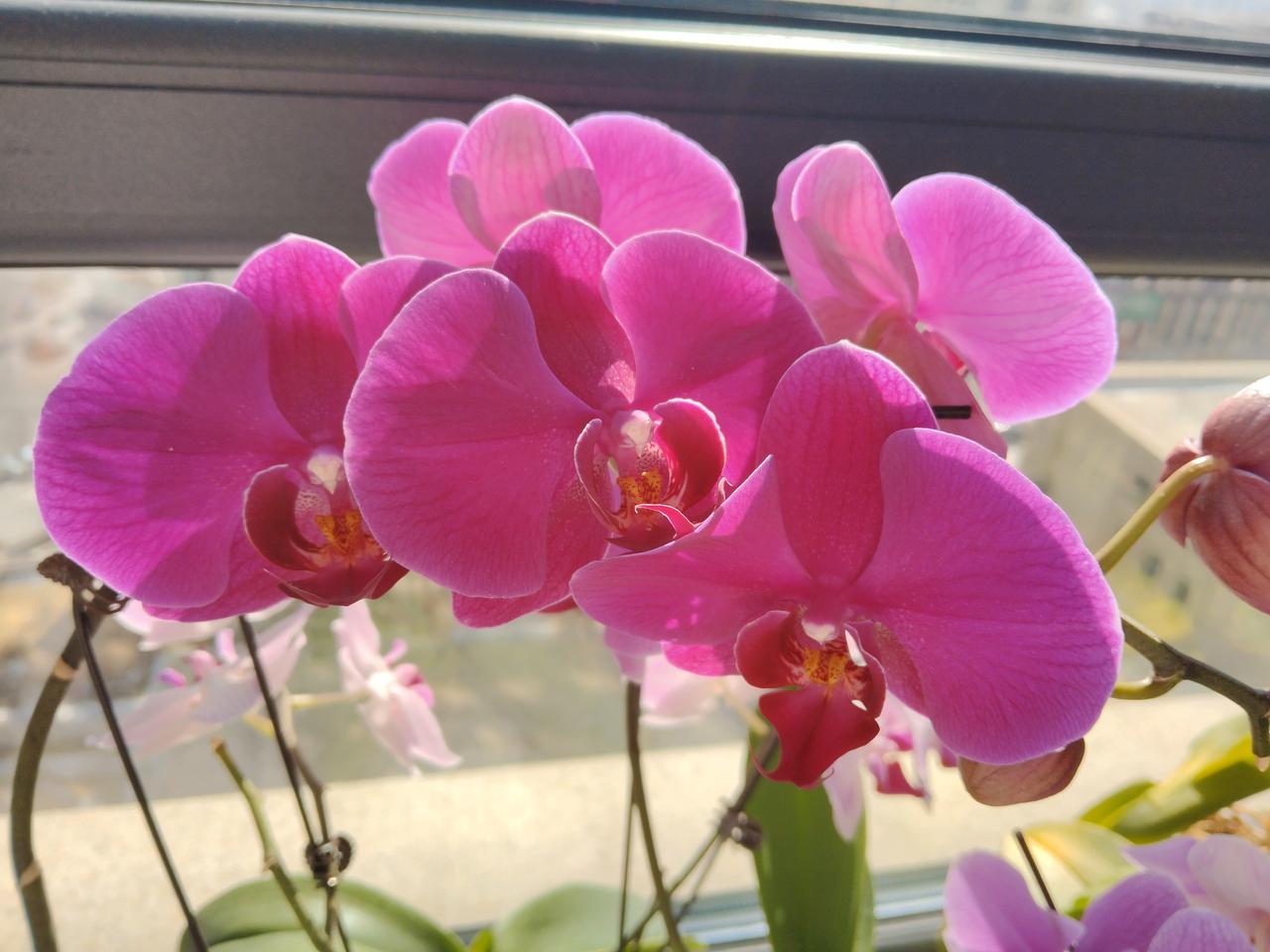 这样的一道修改病句题，这样改没对！修改病句：今天下午三点，妈妈就回家了！