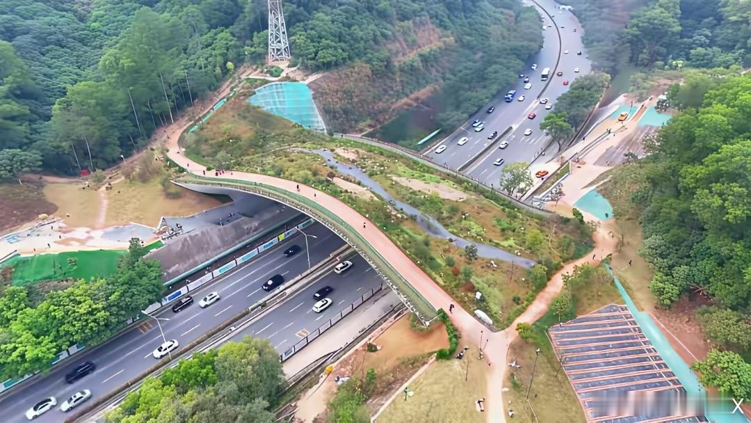 横跨深圳梅观路的生态桥，每次进出梅林关都要从这里经过，一座座生态桥把深圳串联成城