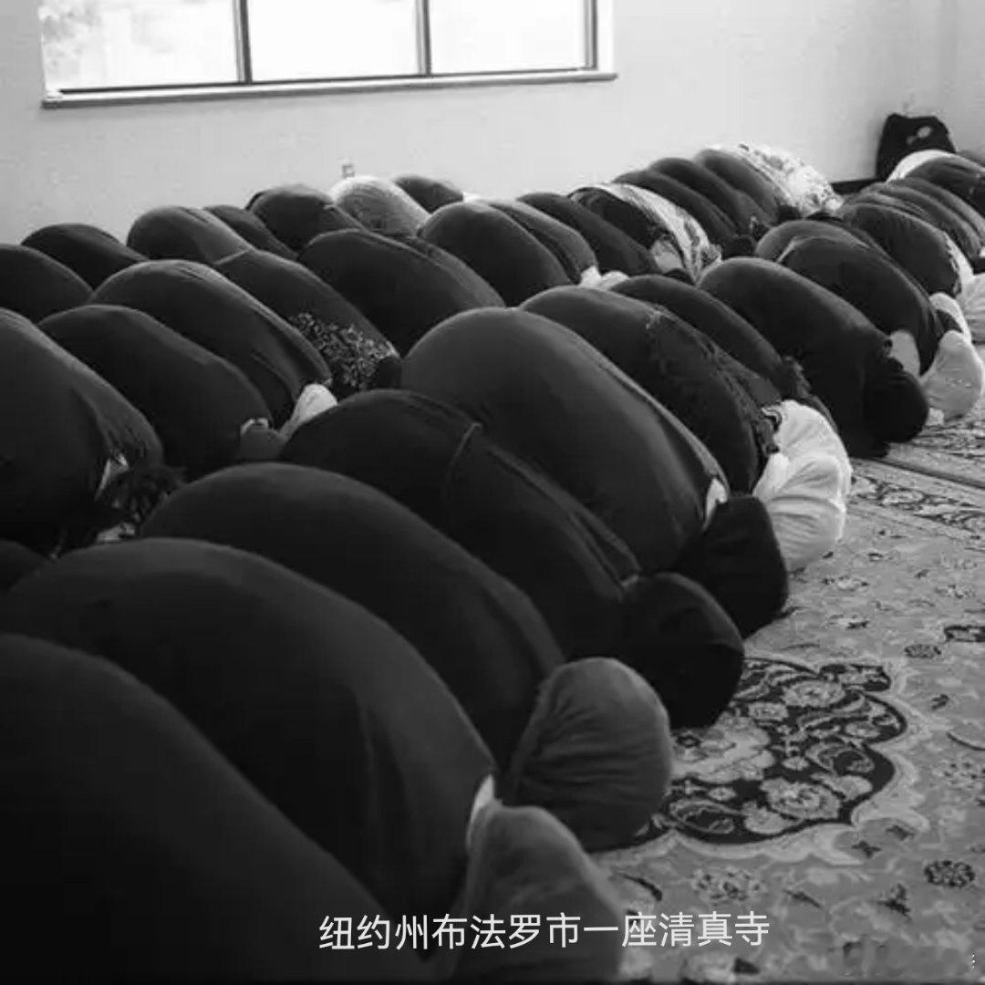 纽约Z世代（18～29岁）的女性中，居然有84%投票给了穆斯林曼达尼！