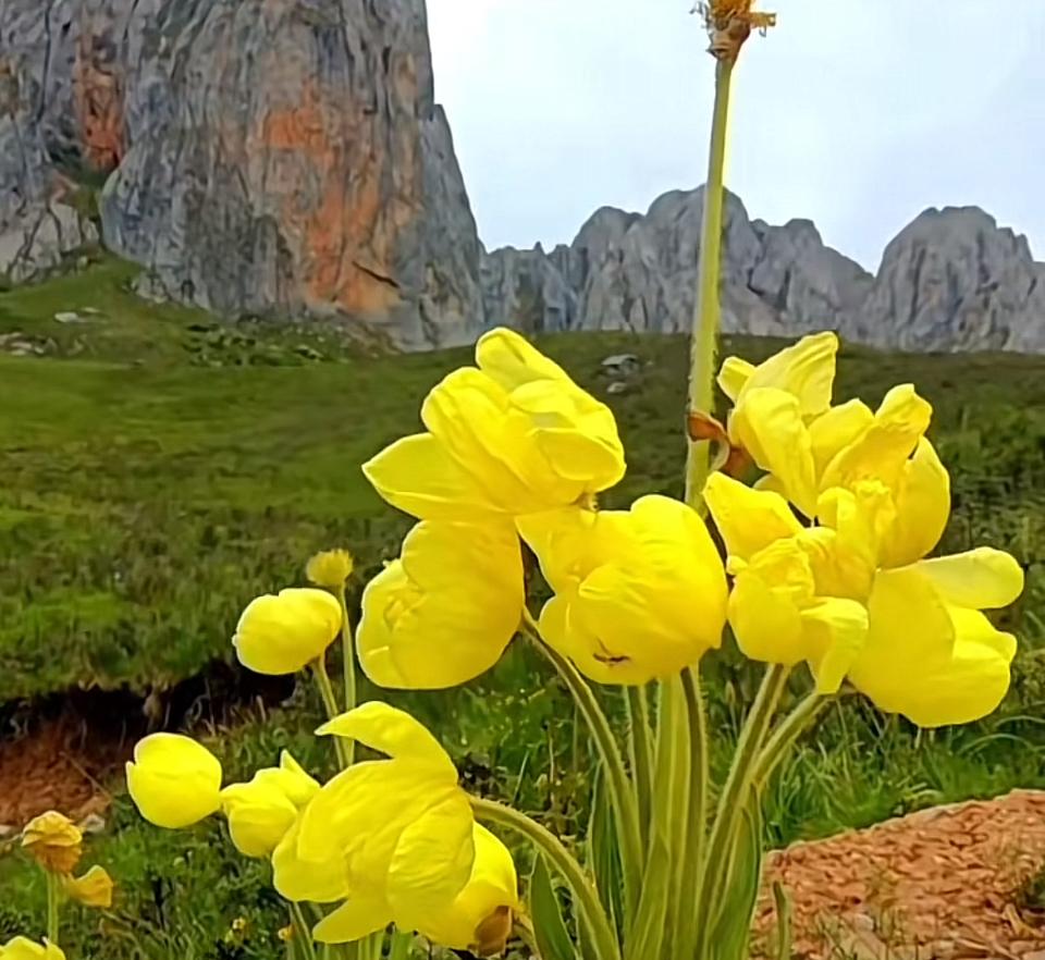 房产中介小哥是真不差钱，竟然说一平方米五六万的房子是白菜价？今天我到某家房产