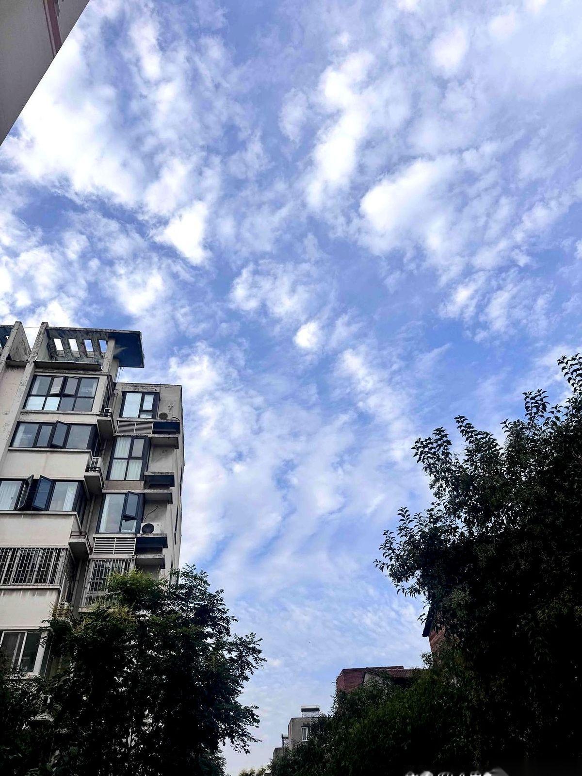 翻开网上关于两性关系的观察报告，你会发现“夫妻定律”这东西，压根不按常理出牌。