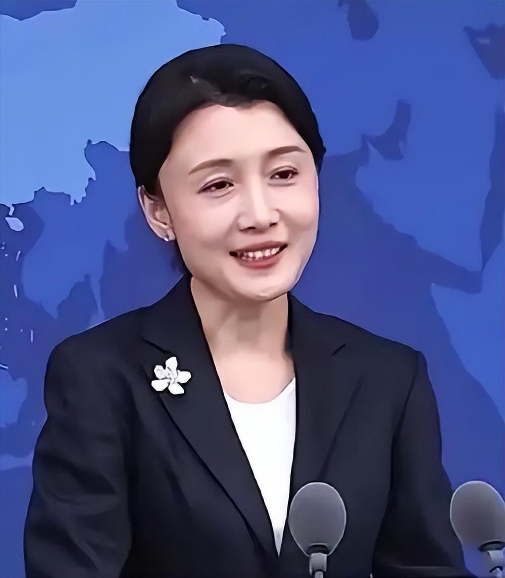 就在刚刚，国台办发布严正声明，5月13日，国务院台办举行例行新闻发布会，发言