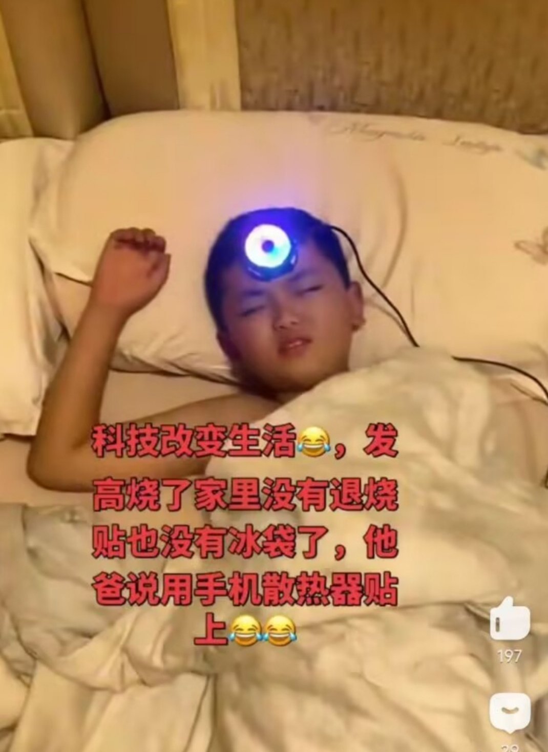 太冰容易脑子进水。