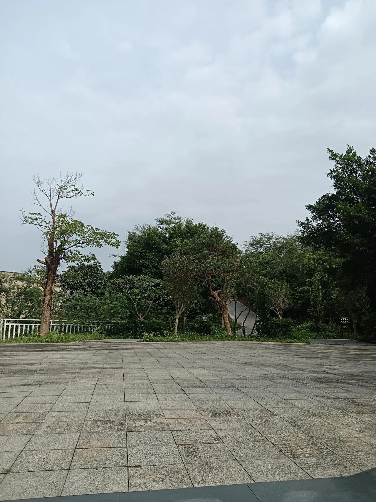 我可能拿不了退休金了！如果有哪位友友能够出主意。帮忙解决我头晕头痛的症状，我