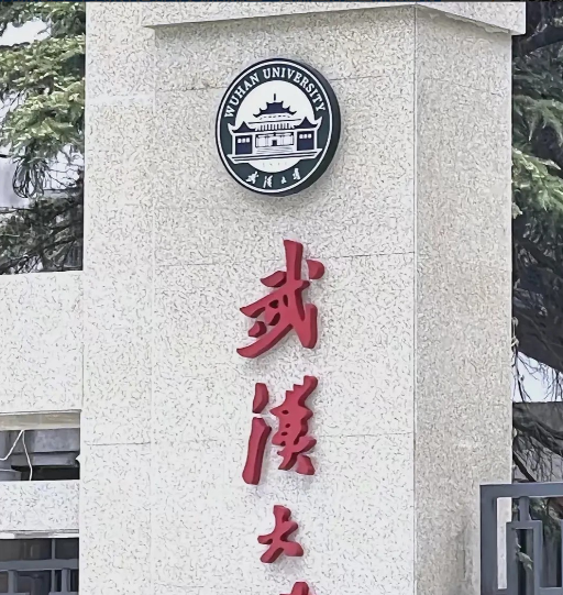 武汉大学零容忍！现在已经水落石出了，原来的举报属无中生有。可以说是诬告。原来处分