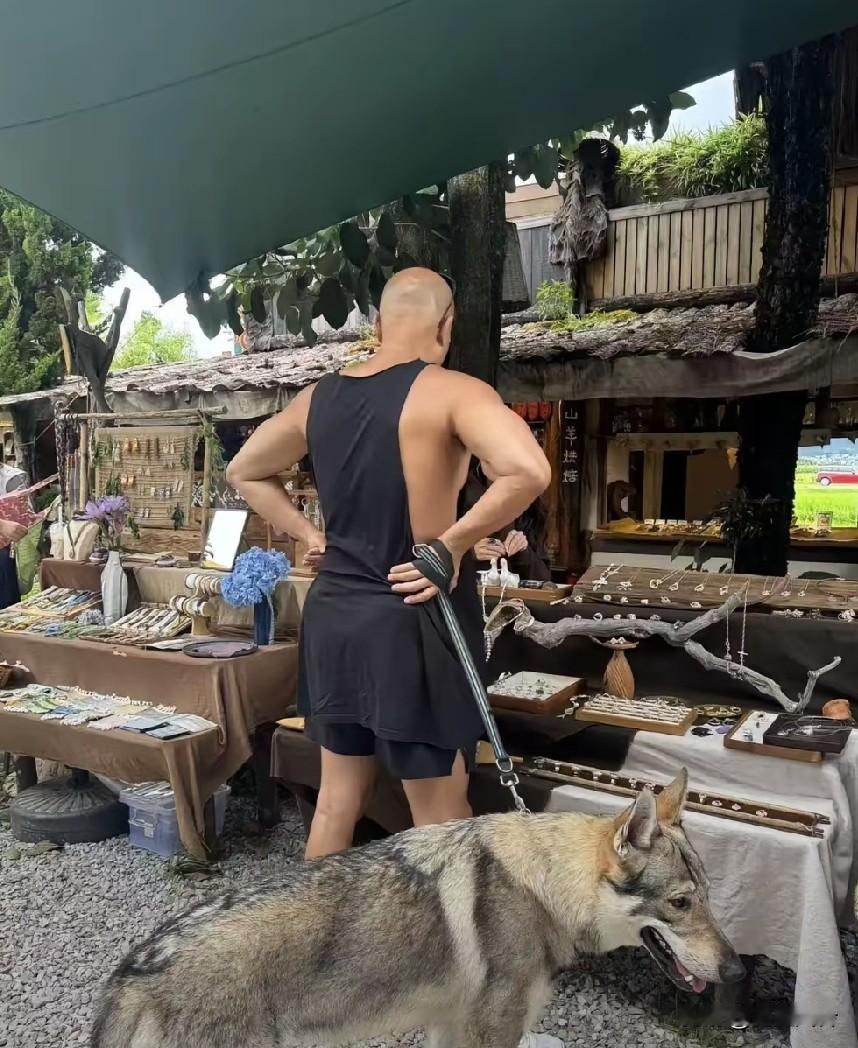 这是正常人穿的吗？乐嘉怎么变成这样了，这衣服，哪里能淘到这么难看不得体的，也是