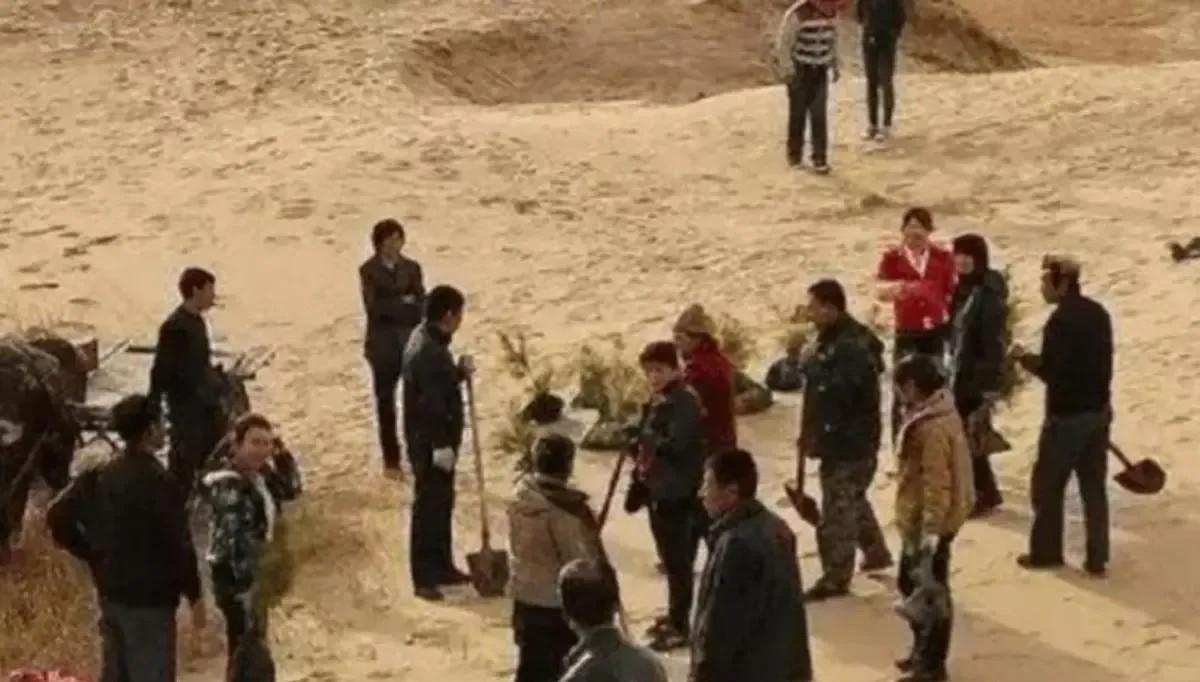 2007年，山西富豪刘金启，豪掷6个亿，在宁夏沙漠种下200万棵白杨树。煤老